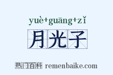 月光子是什么意思的图片